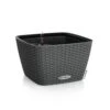LECHUZA Jardinière Bacino Cottage All-in-one 30x30 Cm Noir Graphite -Terre et Verdure 6479895b546b40.96121380