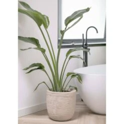 Pot à Fleurs Waste Rib 43x41 Cm Beige Terrazzo 12 Pot à Fleurs Waste Rib 43x41 Cm Beige Terrazzo -Terre et Verdure 6479895e5992f2.75165785