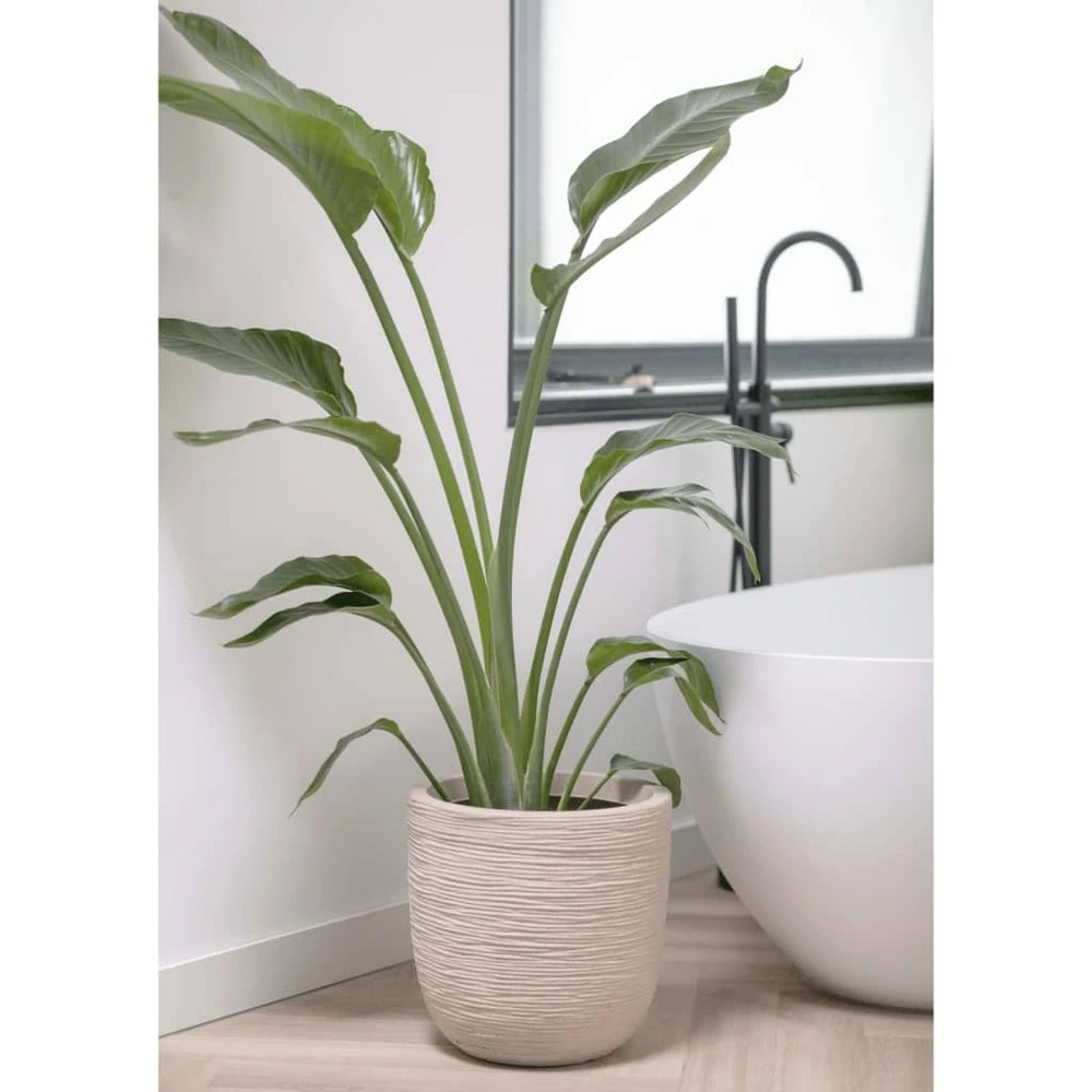 Pot à Fleurs Waste Rib 43x41 Cm Beige Terrazzo 6 Pot à Fleurs Waste Rib 43x41 Cm Beige Terrazzo – Image 4