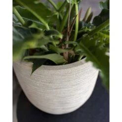 Pot à Fleurs Waste Rib 43x41 Cm Beige Terrazzo 11 Pot à Fleurs Waste Rib 43x41 Cm Beige Terrazzo -Terre et Verdure 6479895e5d9788.64968332