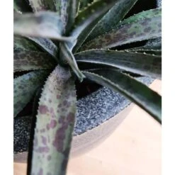 Pot à Fleurs Waste Smooth 43x41 Cm Gris -Terre et Verdure 6479896195b644.79787079