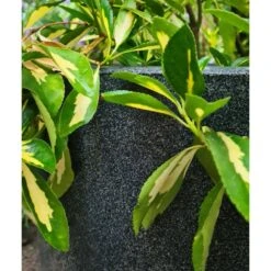 Pot à Fleurs Waste Smooth 43x41 Cm Gris -Terre et Verdure 647989619db2d1.88941631