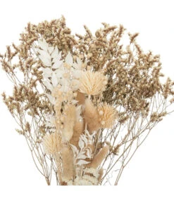 ATMOSPHERA Bouquet De Fleurs Séchées D. 25 X H. 52 Cm -Terre et Verdure 64821bb4983007.33813209