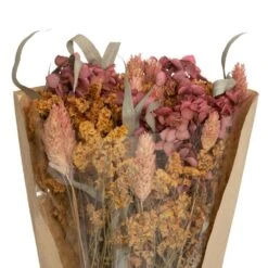 ATMOSPHERA Bouquet De Fleurs Séchées D. 19 X H. 48 Cm -Terre et Verdure 64821bb5da8fe9.89757871