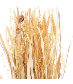 ATMOSPHERA Fagot De Fleurs Et Tiges Séchées D. 25 X H. 115 Cm -Terre et Verdure 64821bbdf34e96.52846136