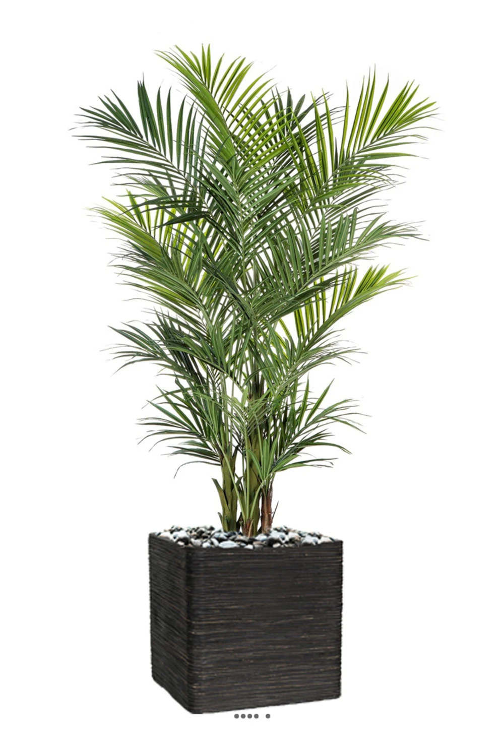 Palmier Kentia Artificiel Deluxe H 260 Cm 766 Feuilles 3 Palmier Kentia Artificiel Deluxe H 260 Cm 766 Feuilles