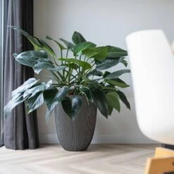 Vase élégant Groove 46x58 Cm Anthracite 12 Vase élégant Groove 46x58 Cm Anthracite -Terre et Verdure 6482c45ae14806.82498096