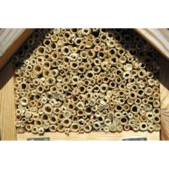 Hôtel à Insectes Naturel, Rouge Et Vert 11 Hôtel à Insectes Naturel, Rouge Et Vert -Terre et Verdure 6483189eeab926.46327980