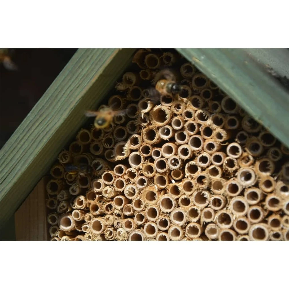 Hôtel à Insectes Naturel, Rouge Et Vert 8 Hôtel à Insectes Naturel, Rouge Et Vert – Image 6