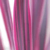 Cordyline 'pink Passion ? ' - 3l 1 Cordyline 'pink Passion ? ' - 3l -Terre et Verdure 648993afd97096.36462248