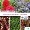 Kit Couvre Sols Talus - 5 Variétés - Lot De 18 Plants En Godet -Terre et Verdure 6495cc2e28e716.89672703