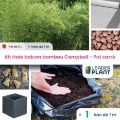 Kit Bambou Campbell En Pot De 5 L Avec Bac Pour Balcon -Terre et Verdure 6495cc376fd9f2.75121068