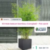 Kit Bambou Campbell En Pot De 5 L Avec Bac Pour Balcon -Terre et Verdure 6495cc3775c1f6.14624708