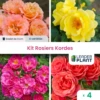 Collection 4 Rosiers Kordes - Lot De 4 Plants En Godet 1 Collection 4 Rosiers Kordes - Lot De 4 Plants En Godet -Terre et Verdure 6495cf98e04978.18757236