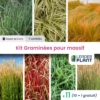 Kit Graminée Pour Massif – 7 Variétés – Lot De 11 Plants En Godet -Terre et Verdure 6495cf9c577c23.26811262