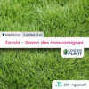 11 X Zoysia - Gazon Des Mascareignes En Godet 1 11 X Zoysia - Gazon Des Mascareignes En Godet -Terre et Verdure 6495cfc7be7c47.35173230