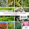 Kit Haie 4 Saisons Exposition Ombragée - 10 Variétés - Lot De 23 Plants En Godet -Terre et Verdure 6495d339936d58.59722473
