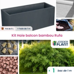 Kit Brise-vue Balcon Bambou Rufa 5 L -Terre et Verdure 6495d343073480.30118771