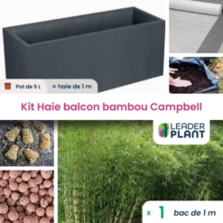 Kit Brise-vue Balcon Bambou Campbell 5 L -Terre et Verdure 6495d6a2a29306.74473358