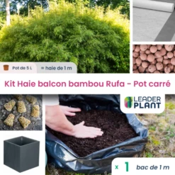 Kit Bambou Rufa En Pot De 5 L Avec Bac Pour Balcon -Terre et Verdure 6495d6b9ed82e7.35167556