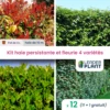 Kit Haie Persistante Et Fleurie - 4 Variétés - Lot De 12 Plants En Pot De 4 L 1 Kit Haie Persistante Et Fleurie - 4 Variétés - Lot De 12 Plants En Pot De 4 L -Terre et Verdure 6495d6bb271875.93272060