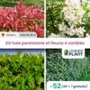 Kit Haie Persistante Et Fleurie - 4 Variétés - Lot De 52 Plants En Pot De 1 L 1 Kit Haie Persistante Et Fleurie - 4 Variétés - Lot De 52 Plants En Pot De 1 L -Terre et Verdure 6495d6bc31aa63.97210269