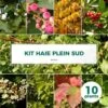 Kit Haie Plein Sud - 10 Jeunes Plants - 10 Jeunes Plants : Taille 20/40cm -Terre et Verdure 6498bc7bb64b04.31986450