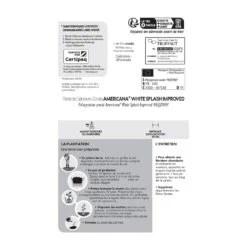 Géranium Zonale Americana® White Splash Improved'Label Rouge:10 Plants 13 Géranium Zonale Americana® White Splash Improved'Label Rouge:10 Plants -Terre et Verdure 697188 1761607