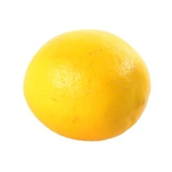 Citronnier X Meyer : AB C3L -Terre et Verdure 697337 007