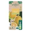 Citronnier X Meyer : AB C3L -Terre et Verdure 697337 010