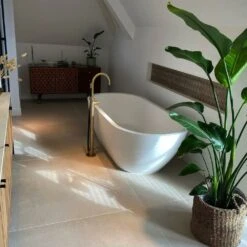 Strelitzia Nicolai Xxl - H180cm, ø24cm - Très Grande Plante D'intérieur -Terre et Verdure 6d77142b60f1d341