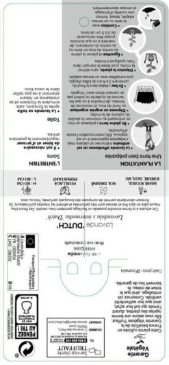 Lavande X Intermedia Dutch Lavander Pot 3L -Terre et Verdure 739237 002