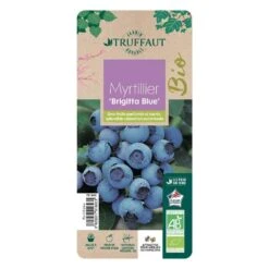 Myrtillier 'Brigitta Blue' Bio : Pot De 1,5 Litres -Terre et Verdure 791603 003