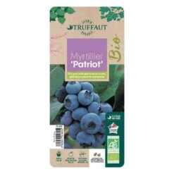 Myrtillier 'Patriot' Bio : Pot De 1,5 Litres -Terre et Verdure 791605 005