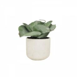 Succulente Artificielle Pot Effet Ciment 17cm -Terre et Verdure 7a78da09e34b3336