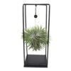 Tillandsia Et Son Support En Cube - H35cm, ø20cm - Plante D'intérieur Tombante -Terre et Verdure 7f164b806c086ee0