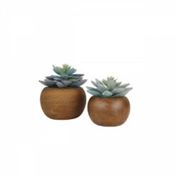 Succulente Artificielle Pot Bois 15cm Lot De 2 -Terre et Verdure 82538564fc8c5857