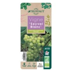 Vigne 'Seyval Blanc' AB - Pot 1,5 L -Terre et Verdure 827056 002