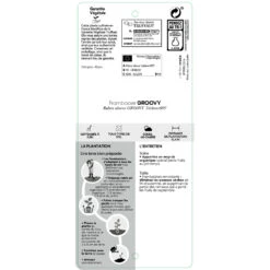 Framboisier Groovy®'Jdeboer005':pot 5L -Terre et Verdure 831270 1432924