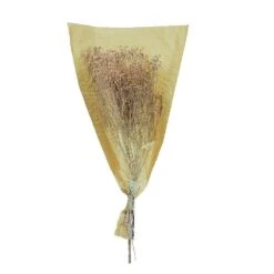 Fleurs Séchées Gypsophile Blanc 5 Fleurs Séchées Gypsophile Blanc -Terre et Verdure 876324 004