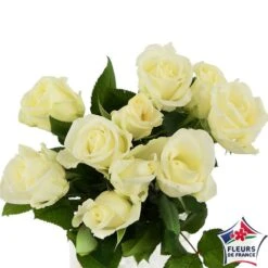 Botte 10 Roses ''Fleurs De France'' H.50cm Coloris Variables 11 Botte 10 Roses ''Fleurs De France'' H.50cm Coloris Variables -Terre et Verdure 907464 001