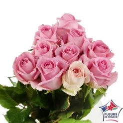 Botte 10 Roses ''Fleurs De France'' H.50cm Coloris Variables 9 Botte 10 Roses ''Fleurs De France'' H.50cm Coloris Variables -Terre et Verdure 907464 003