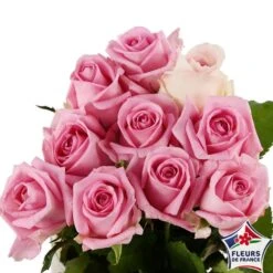 Botte 10 Roses ''Fleurs De France'' H.50cm Coloris Variables 10 Botte 10 Roses ''Fleurs De France'' H.50cm Coloris Variables -Terre et Verdure 907464 004