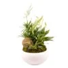 Compo 3 Plantes, Pot D20cm -Terre et Verdure 926686 002