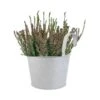 Pot En Zinc Avec Crochet Et Bruyère 2 Pot En Zinc Avec Crochet Et Bruyère -Terre et Verdure 926780 001