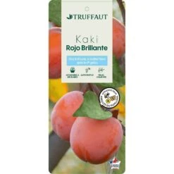 Kaki 'Rouge Brillant 1/2T Pot 15L -Terre et Verdure 952752 002
