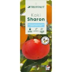 Kaki "Sharon" 1/2T Pot 15L -Terre et Verdure 952753 003