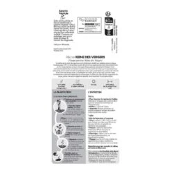 Pêcher Reine Des Vergers Bio, Gobelet 2 Ans -Terre et Verdure 952756 007