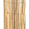 Canisse En Lattes De Bambou - Rouleau 1,5x3m -Terre et Verdure 956780 001