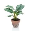 Emerald Calathea Orbifolia Artificiel Terra 32 Cm En Pot -Terre et Verdure ac5e1c411b53827f